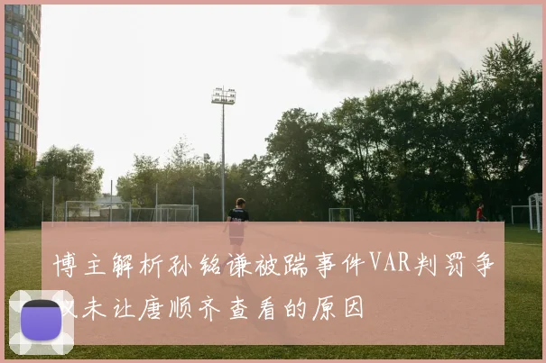 博主解析孙铭谦被踹事件VAR判罚争议未让唐顺齐查看的原因